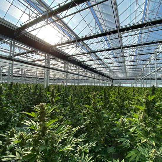 AgTech Scientific - Farming First