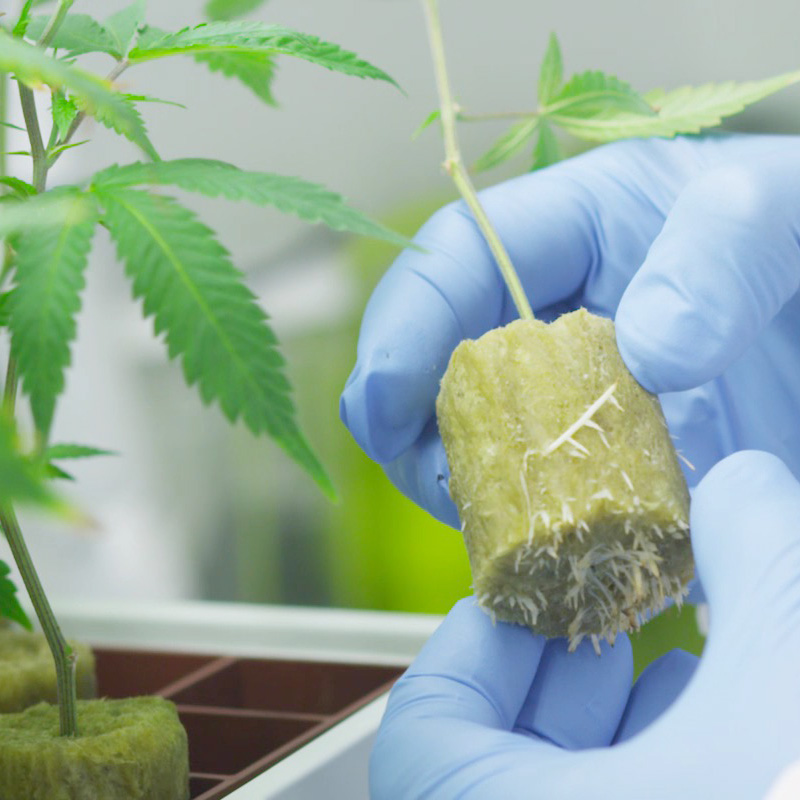 AgTech Scientific - Clinical Trials