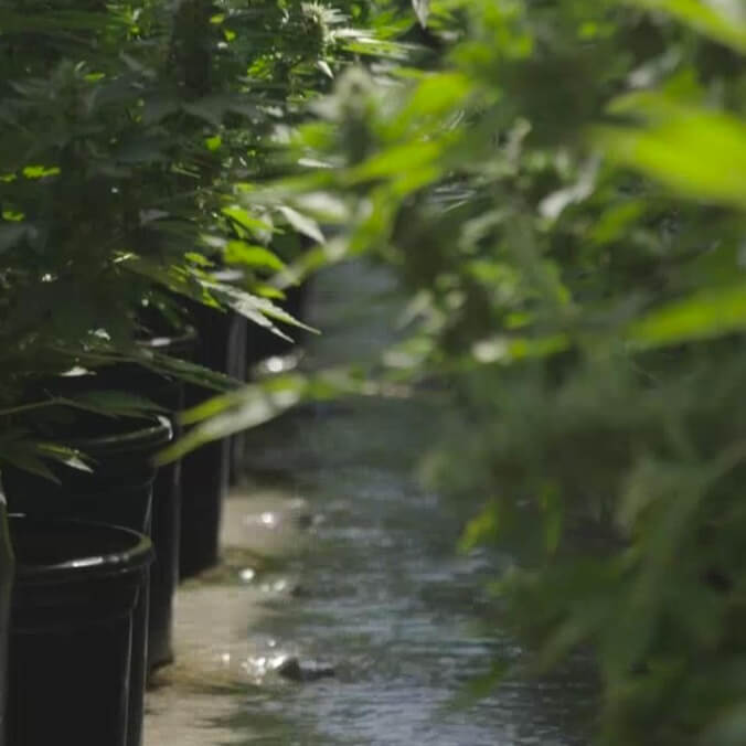 AgTech Scientific - Farming First Plants