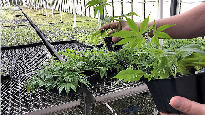 AGTECH SCIENTIFIC